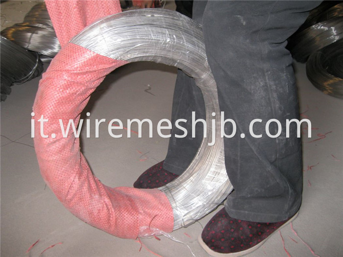 Stainless Steel Wire